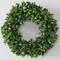 18" English Boxwood Wreath Classic Greenery Door & Wall Décor